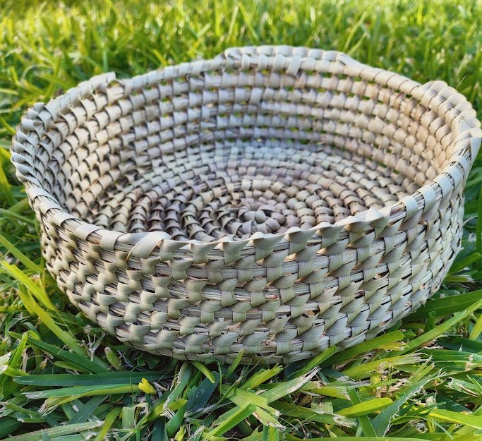 Panera - Palma Caranday