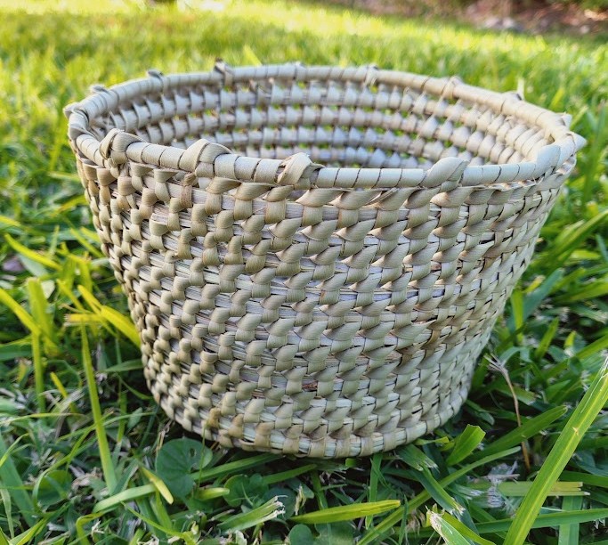 Cesto cónico - Palma Caranday 